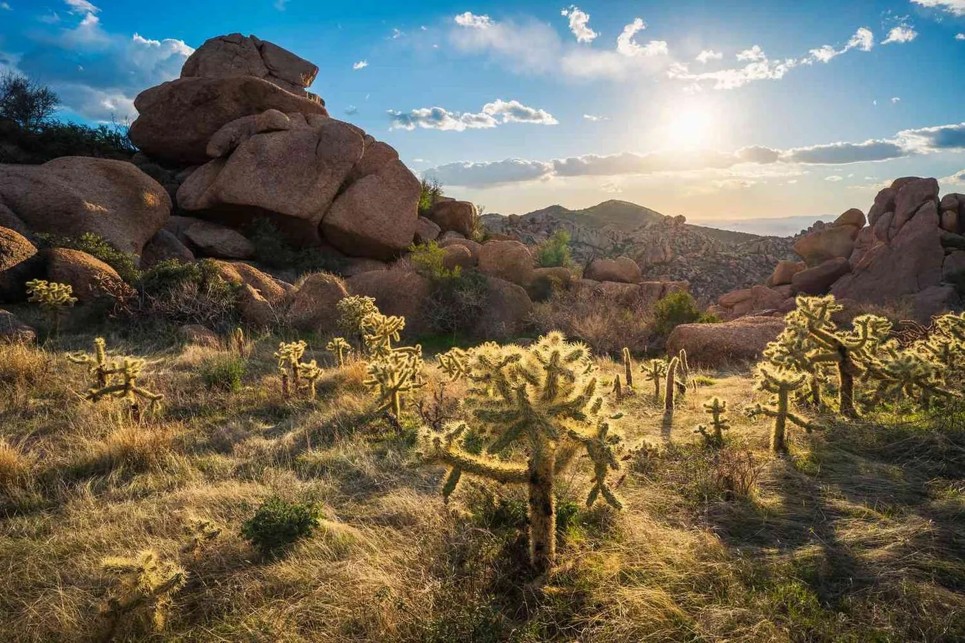 Agua Fria River corridor, Arizona