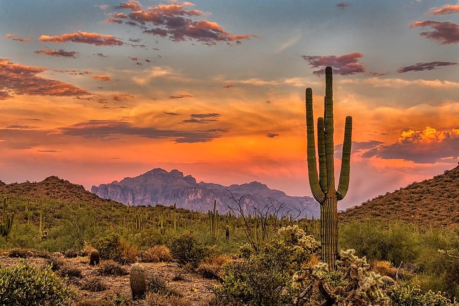 High desert along the I-17, Arizona